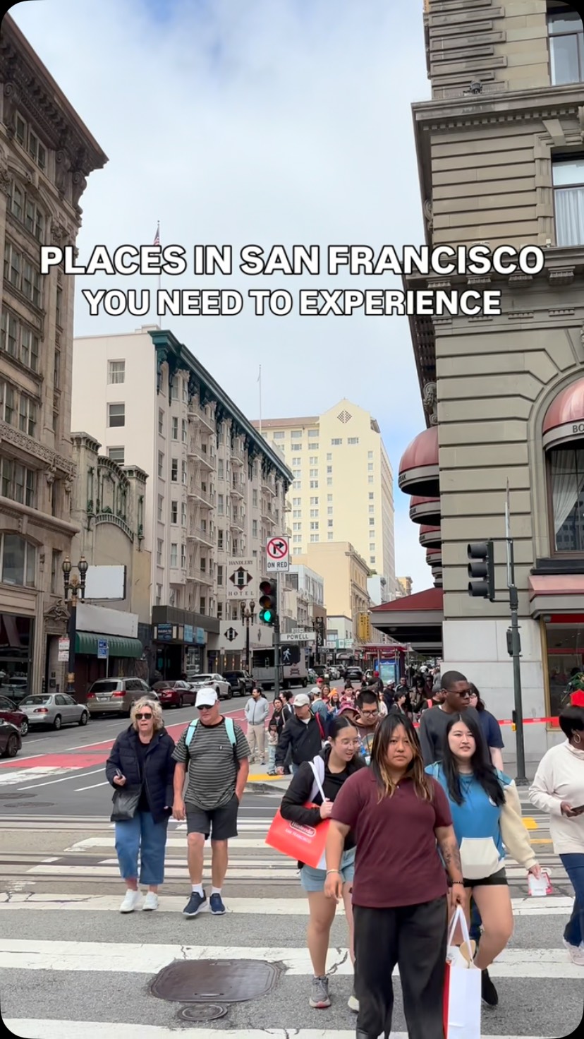San Francisco's Top Cultural and Interactive Attractions