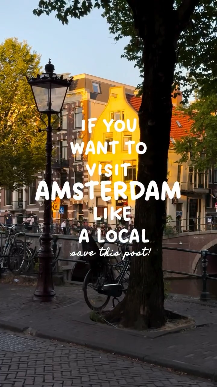 Amsterdam's Cultural and Academic Gems