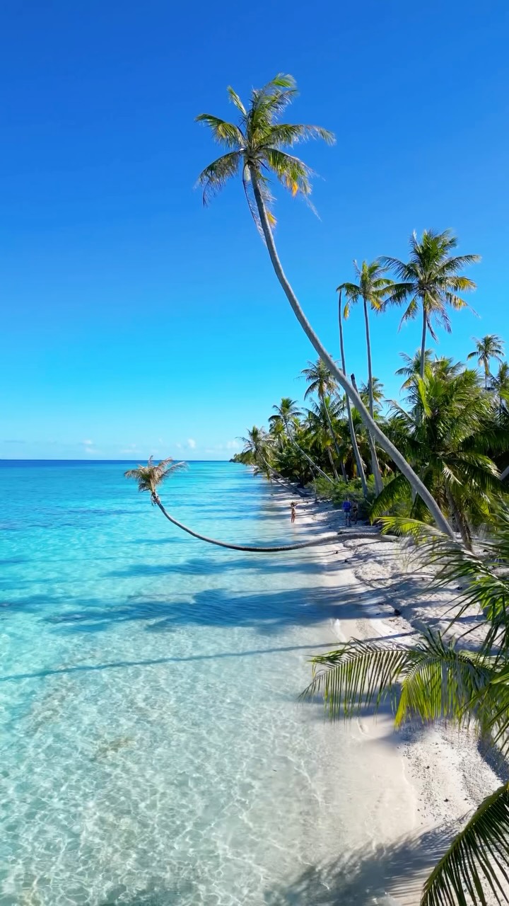 Fakarava's Unique Beaches and Marine Life