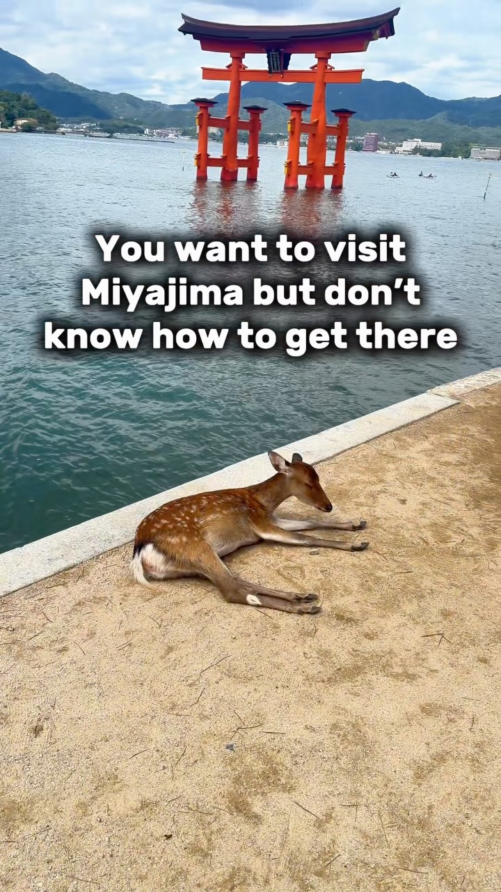 Miyajima: A Guide to Itsukushima's Sacred Island
