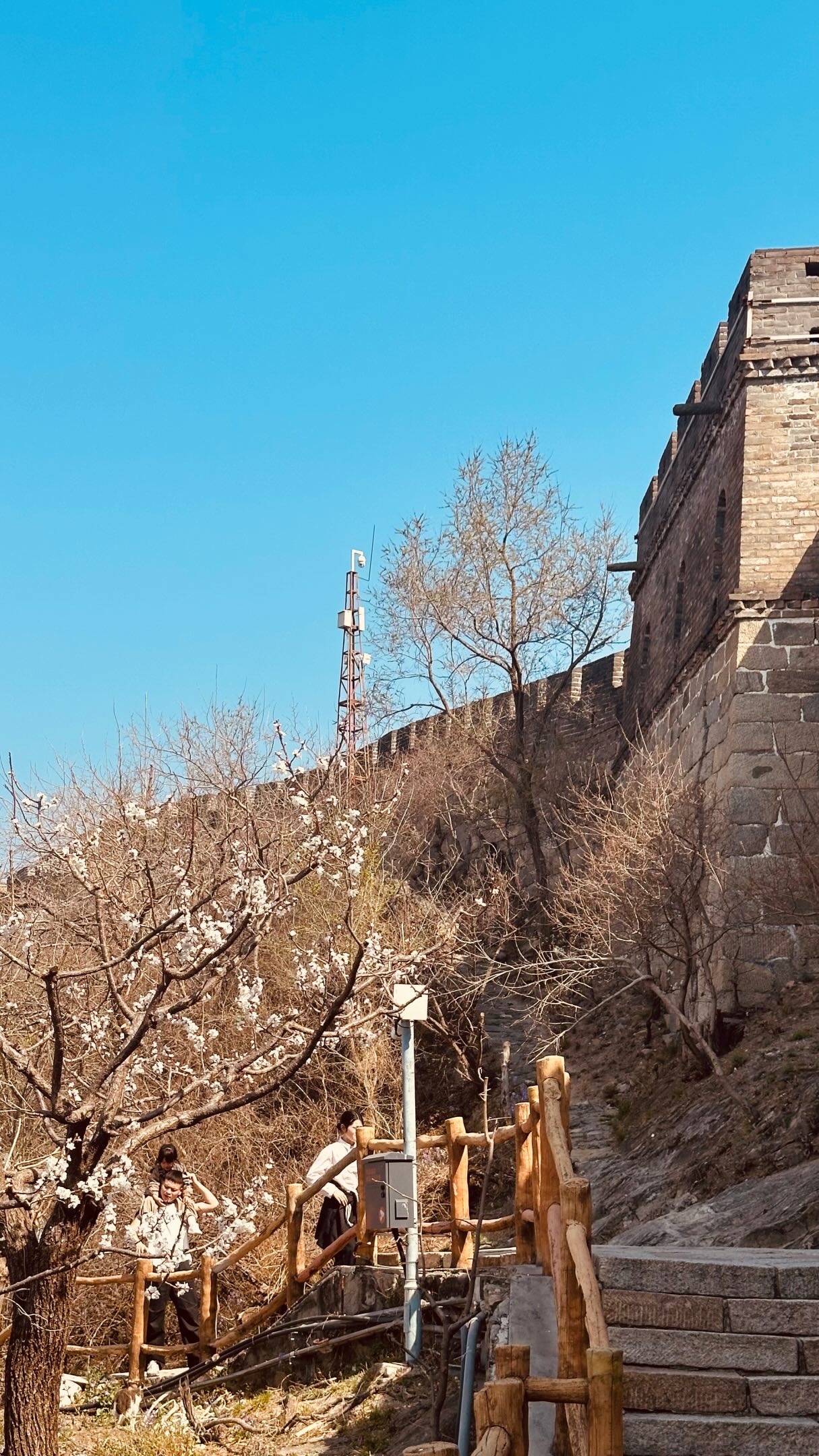 Iconic Ancient Wonder: The Great Wall of China