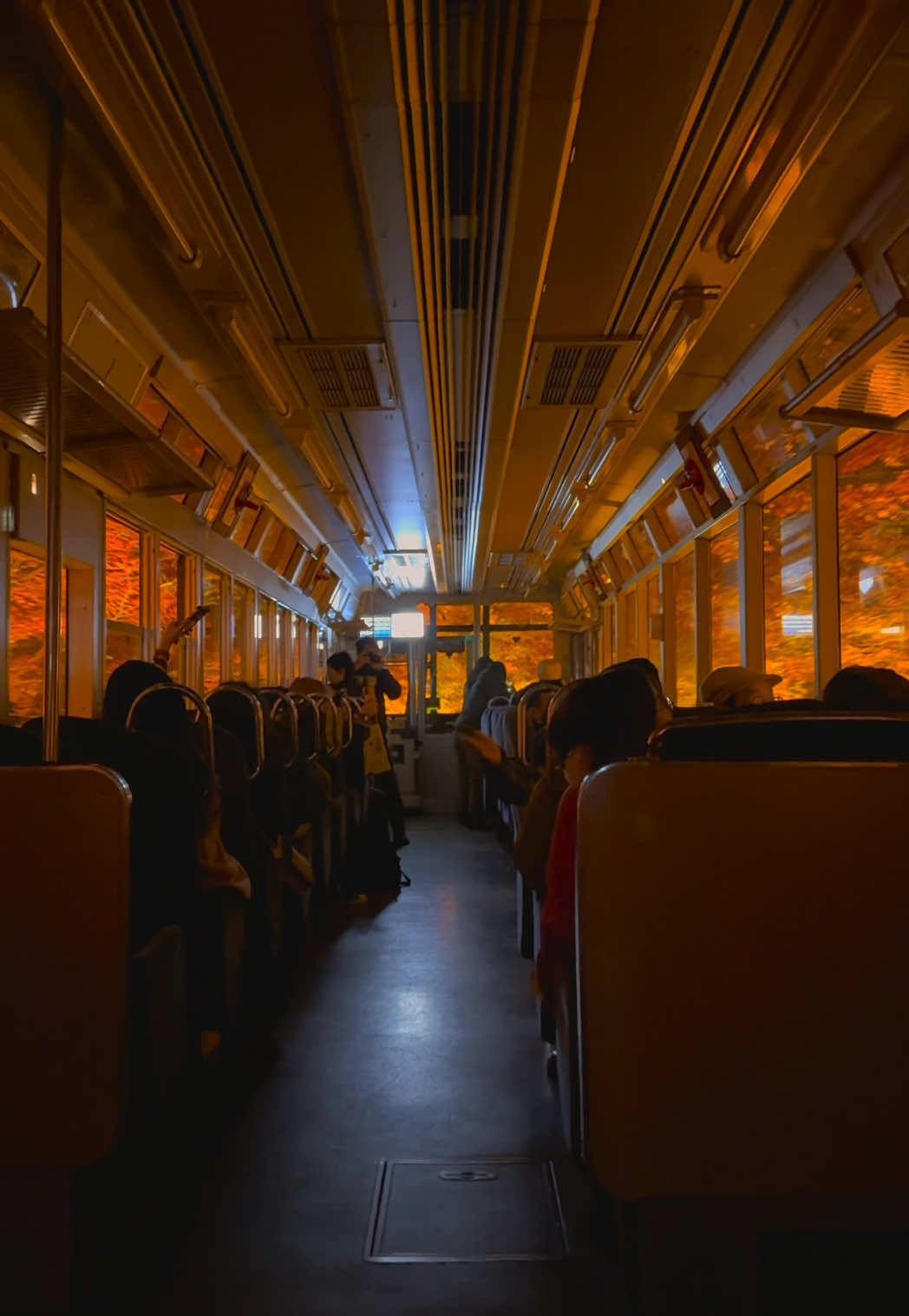 Eizan Railway's Maple Tunnel Offers Autumn Beauty