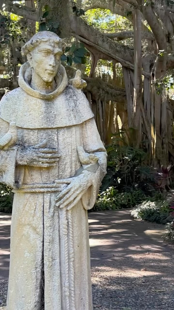 Historic Banyan Tree at Legoland Florida