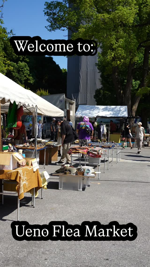 Tokyo Flea Market Alongside Scenic Shinobazu Pond