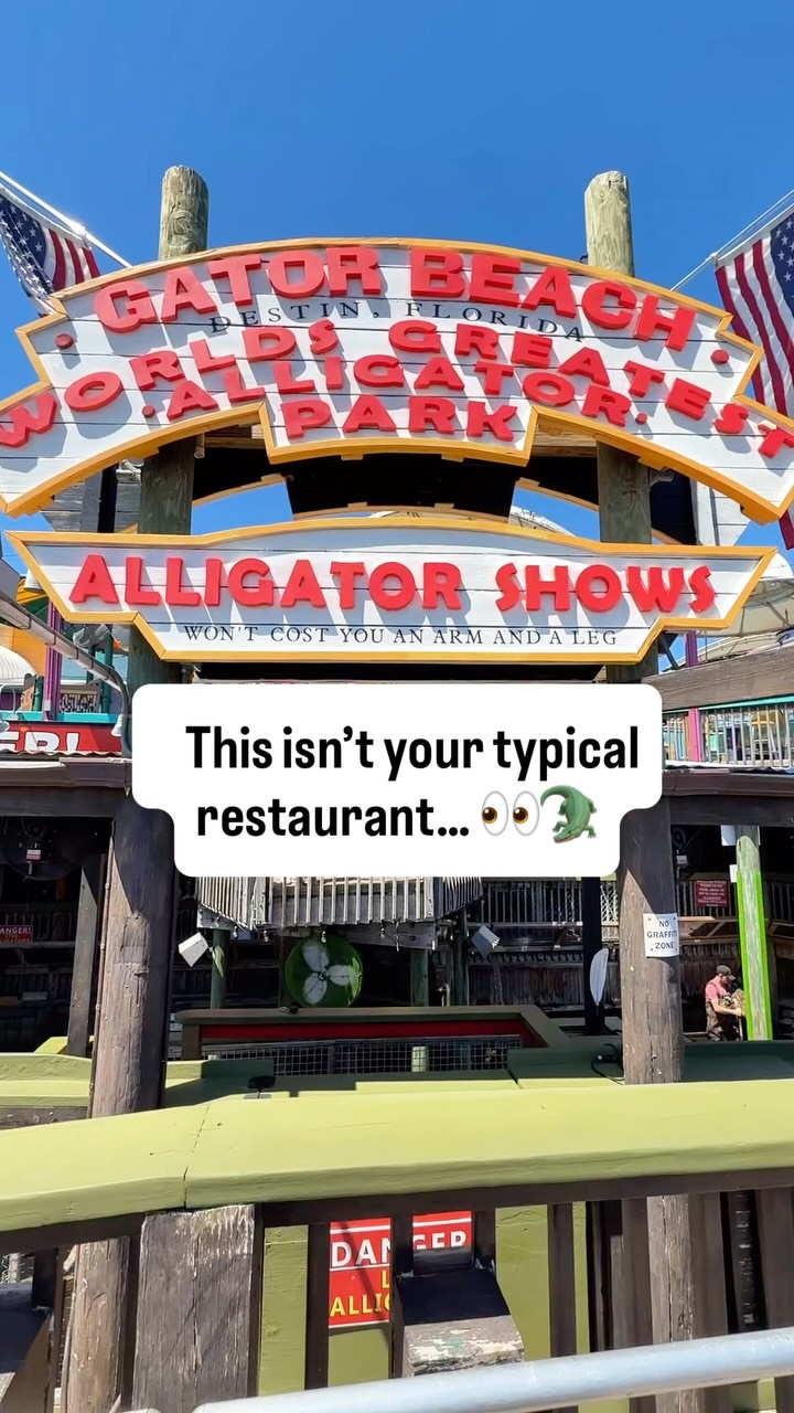 Alligator Encounters And Beachside Dining In Florida