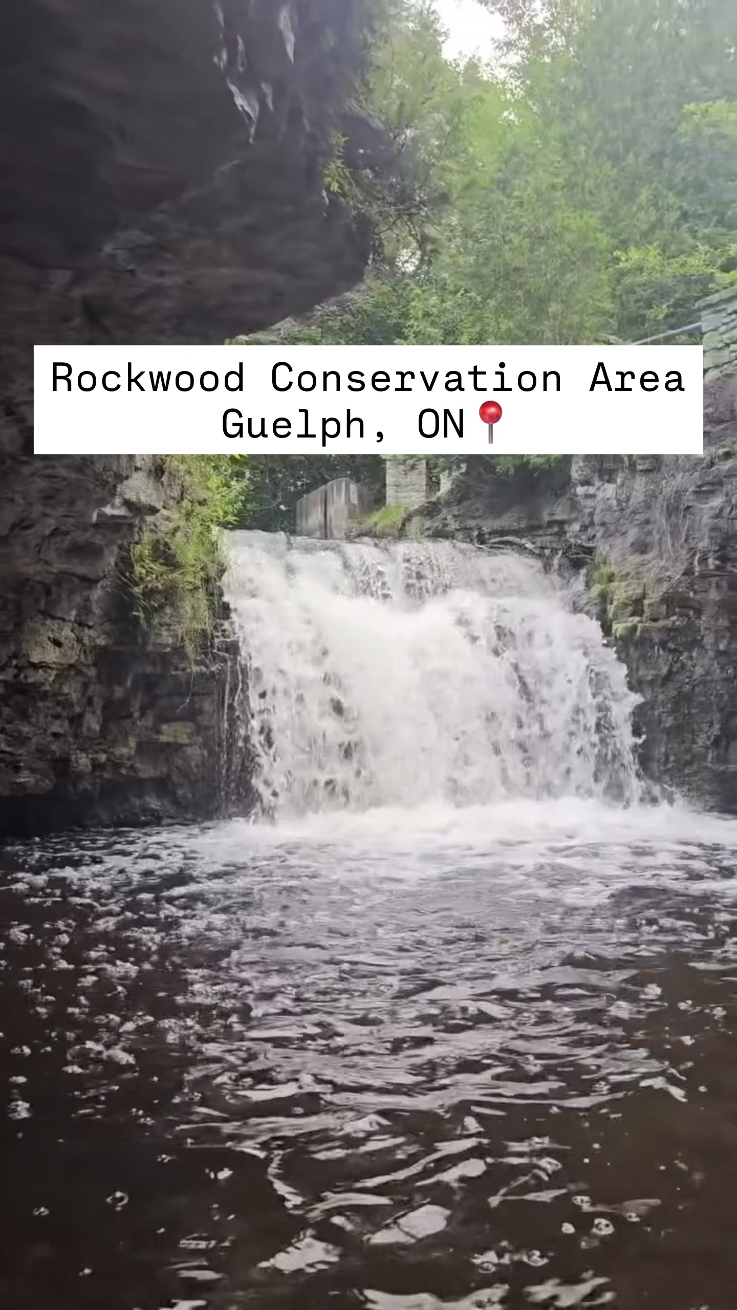 Rockwood Conservation Area: A Natural Getaway
