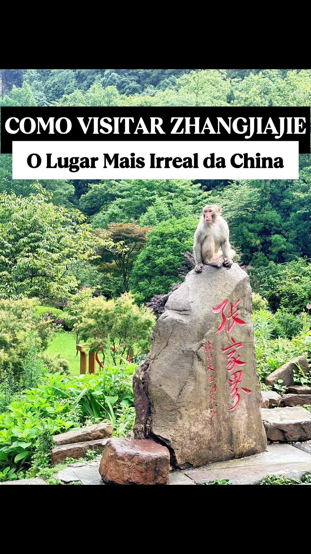 Zhangjiajie: China's Mesmerizing Mountain Landscapes