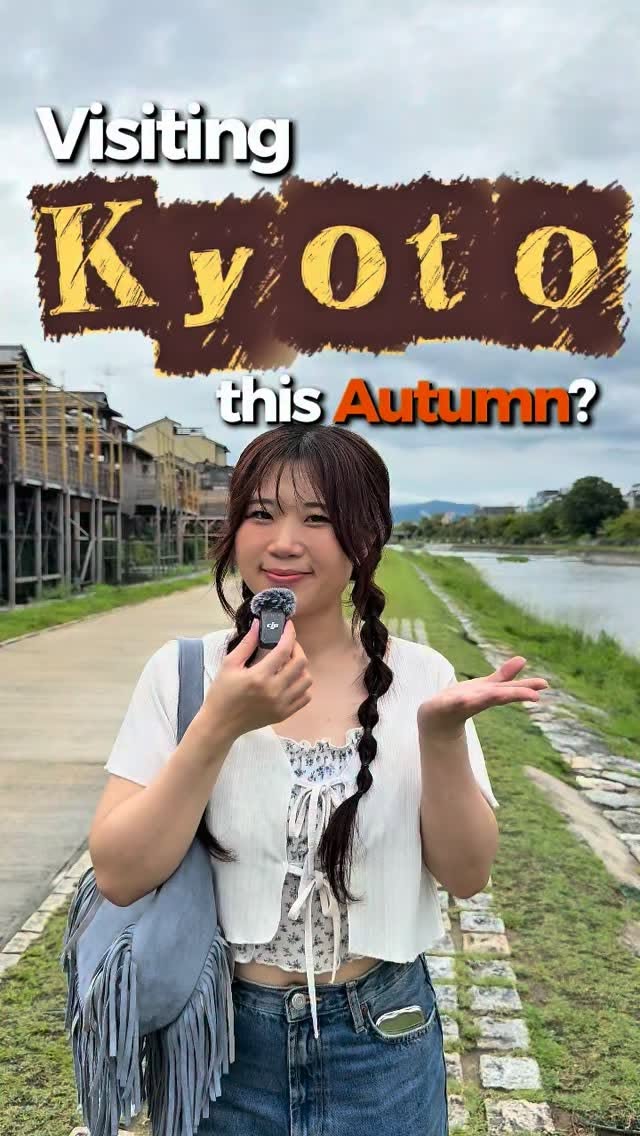 Kyoto's Autumn Highlights: Temples and Bamboo Groves