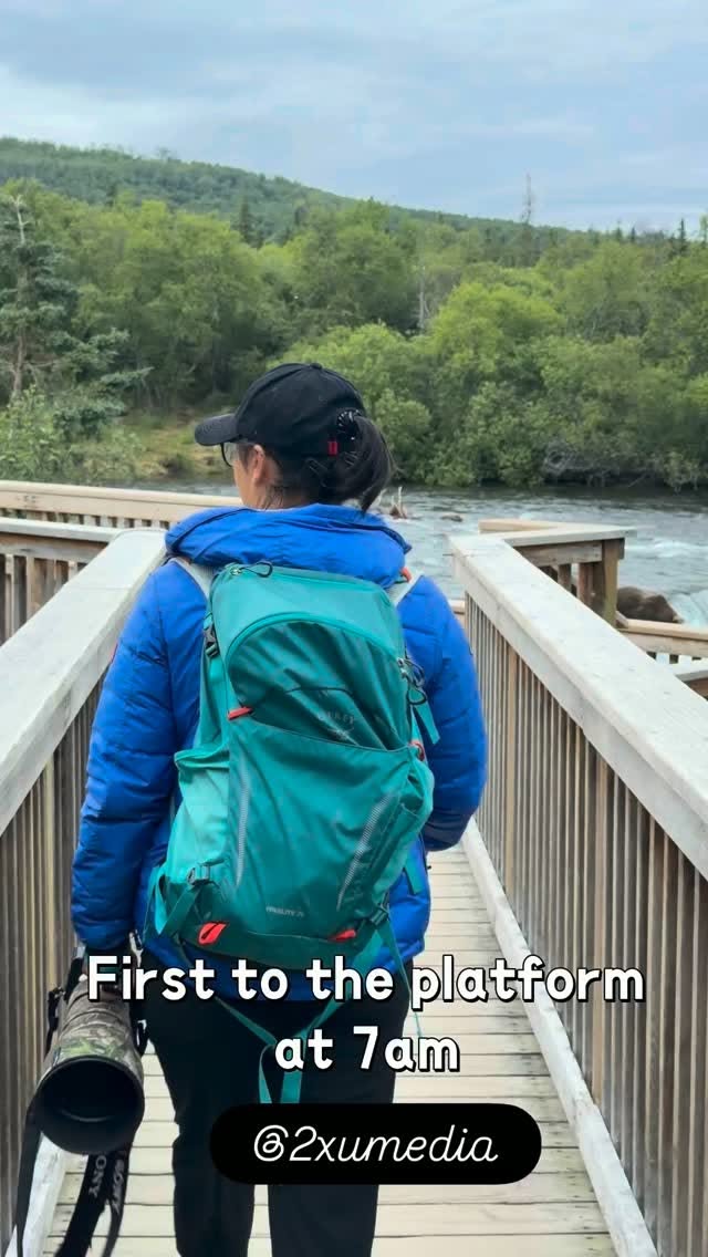 Brooks Falls' Stunning Wildlife Views