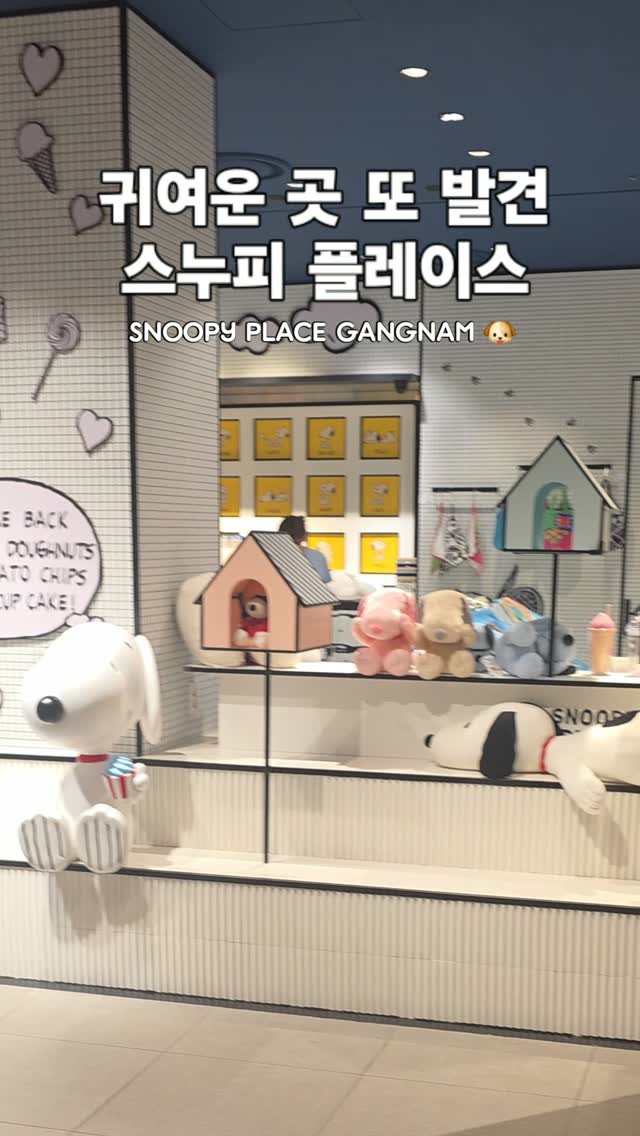 Snoopy Place Adventures