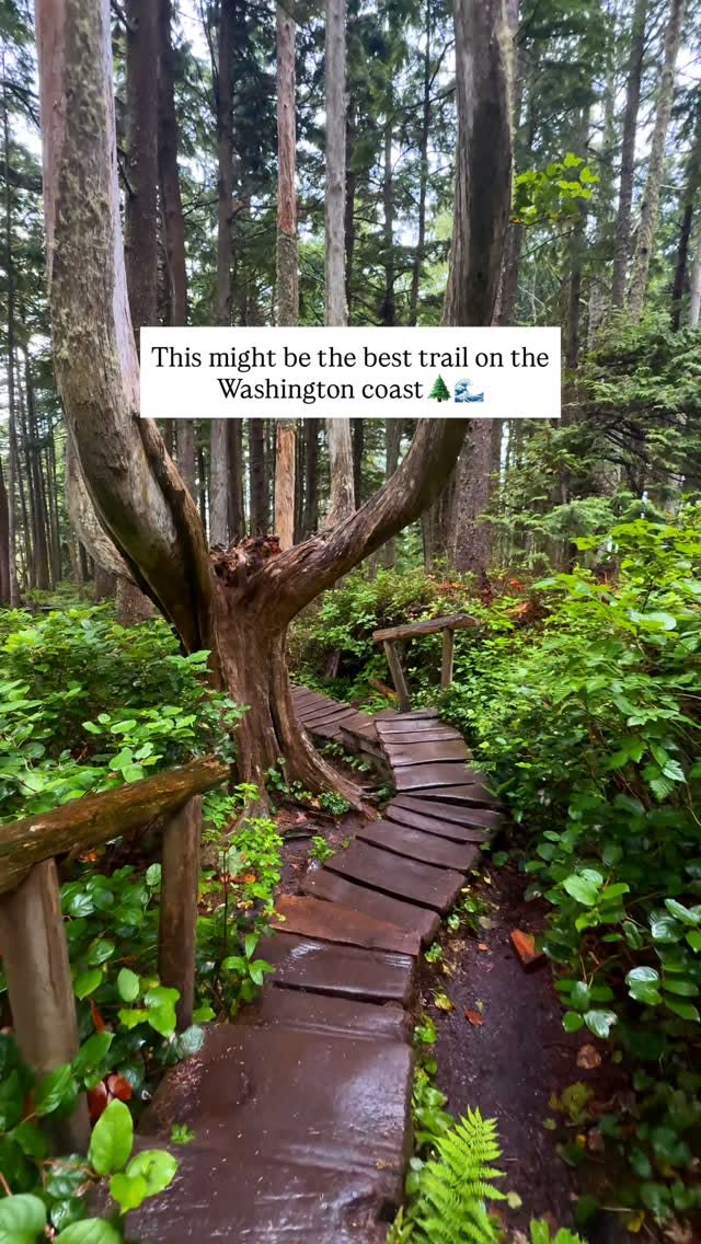 3 Attractions in Washington