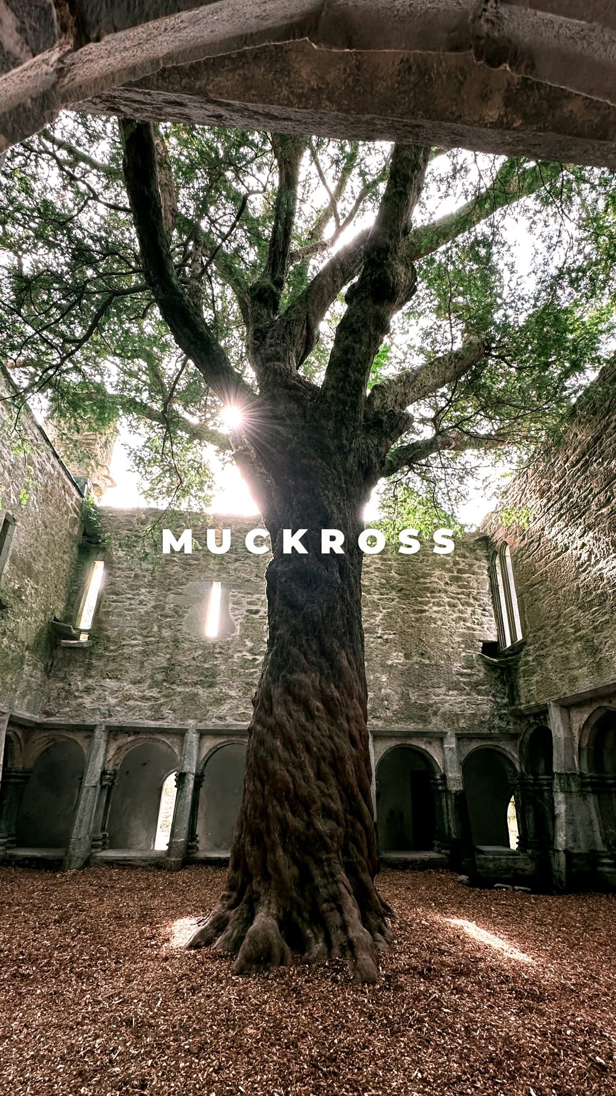 Abbey Ruins and National Park Exploration