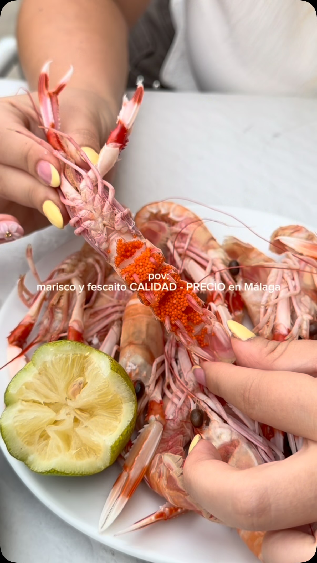 Málaga Seafood Restaurant Features Fresh Daily Catches