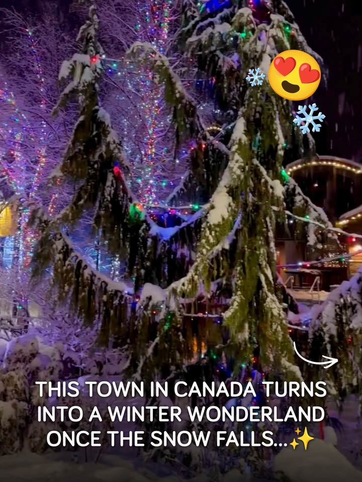 Whistler Luxury Stays Fall Below Peak Pricing