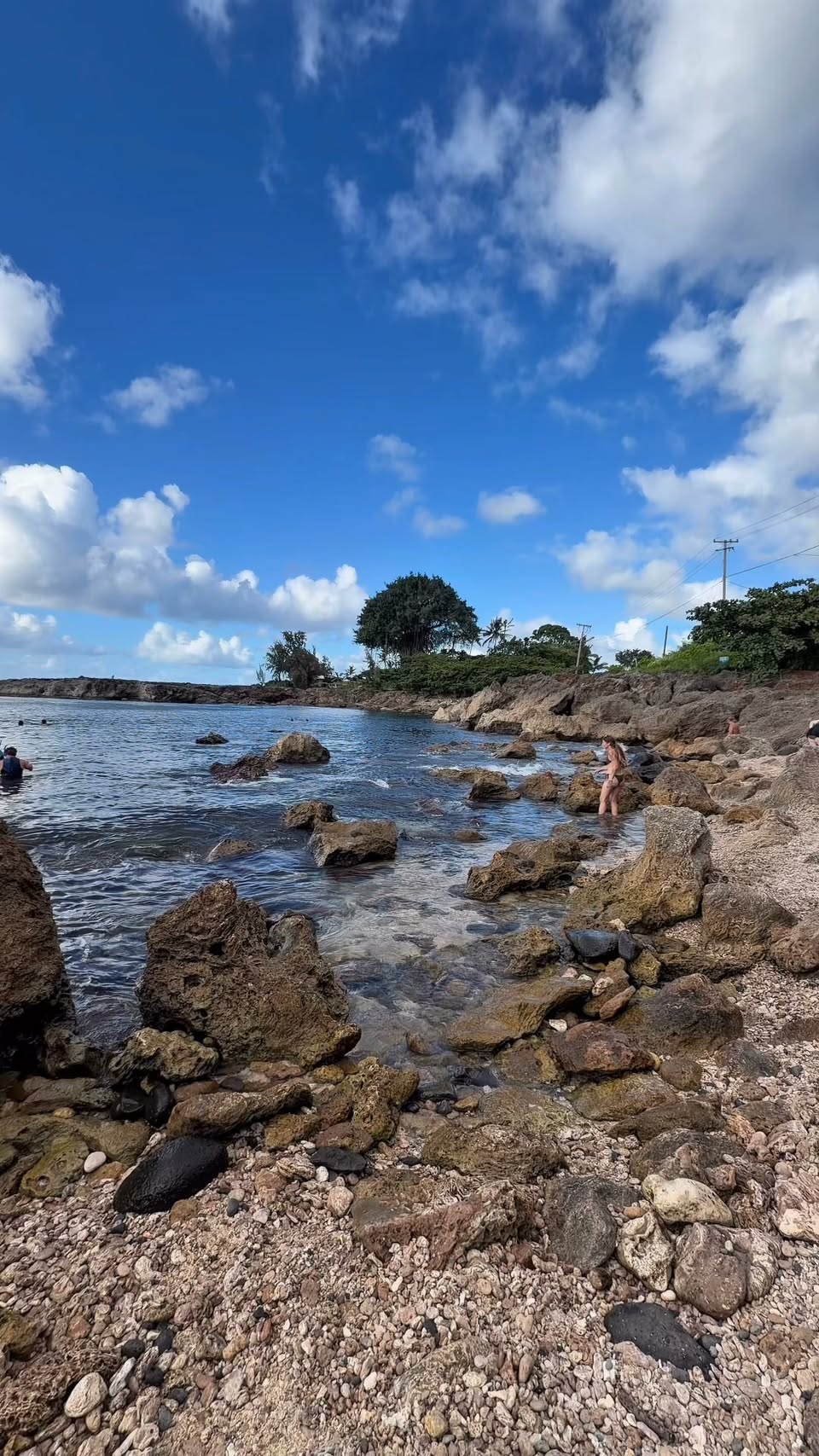 Oahu's North Shore Eats and Waikiki Beach Stays