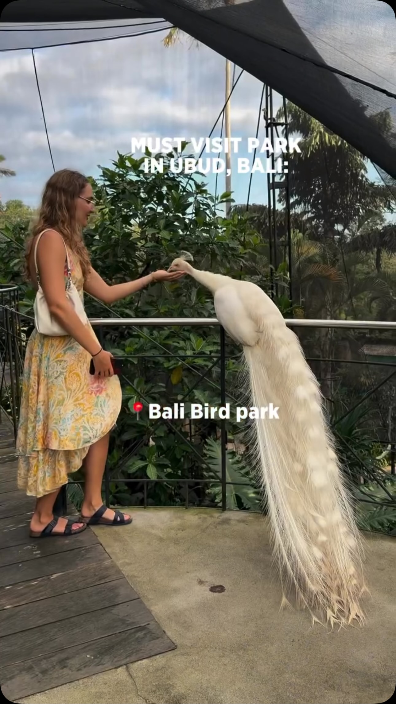 Bali Bird Park Guide
