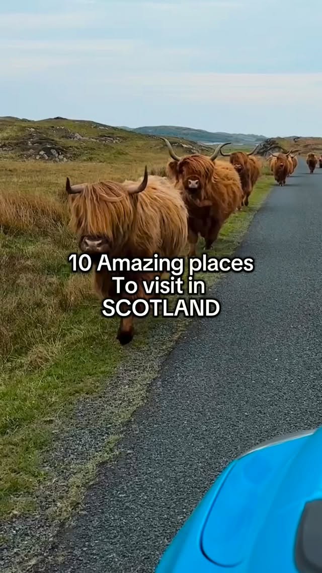 Scottish Landscapes and Coastal Gems