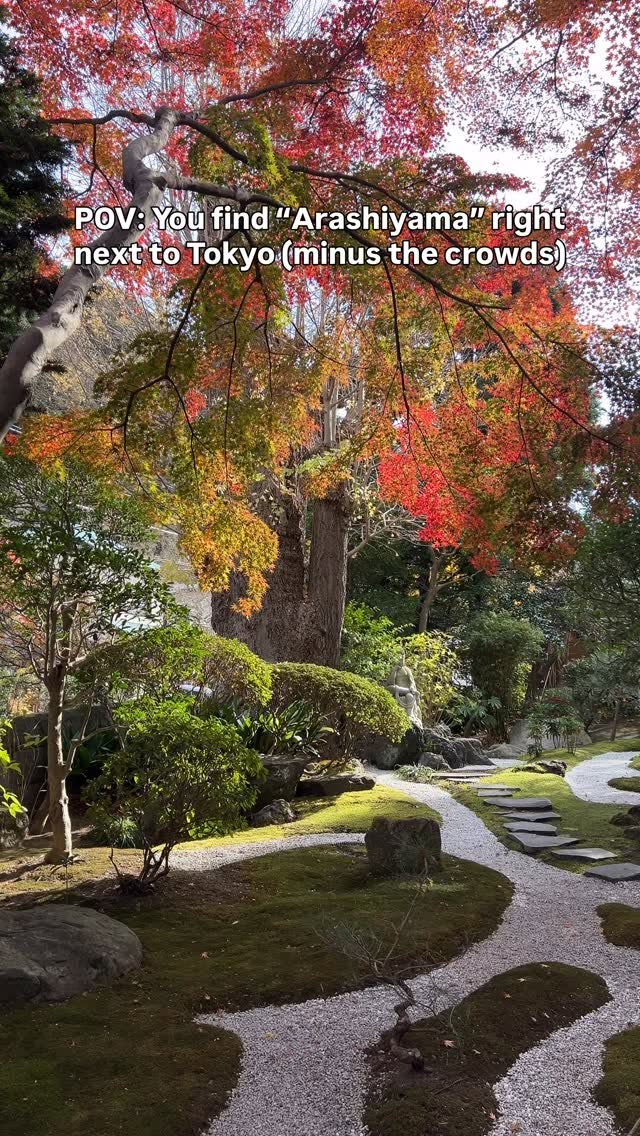 Hokokuji Temple's Serene Bamboo Grove