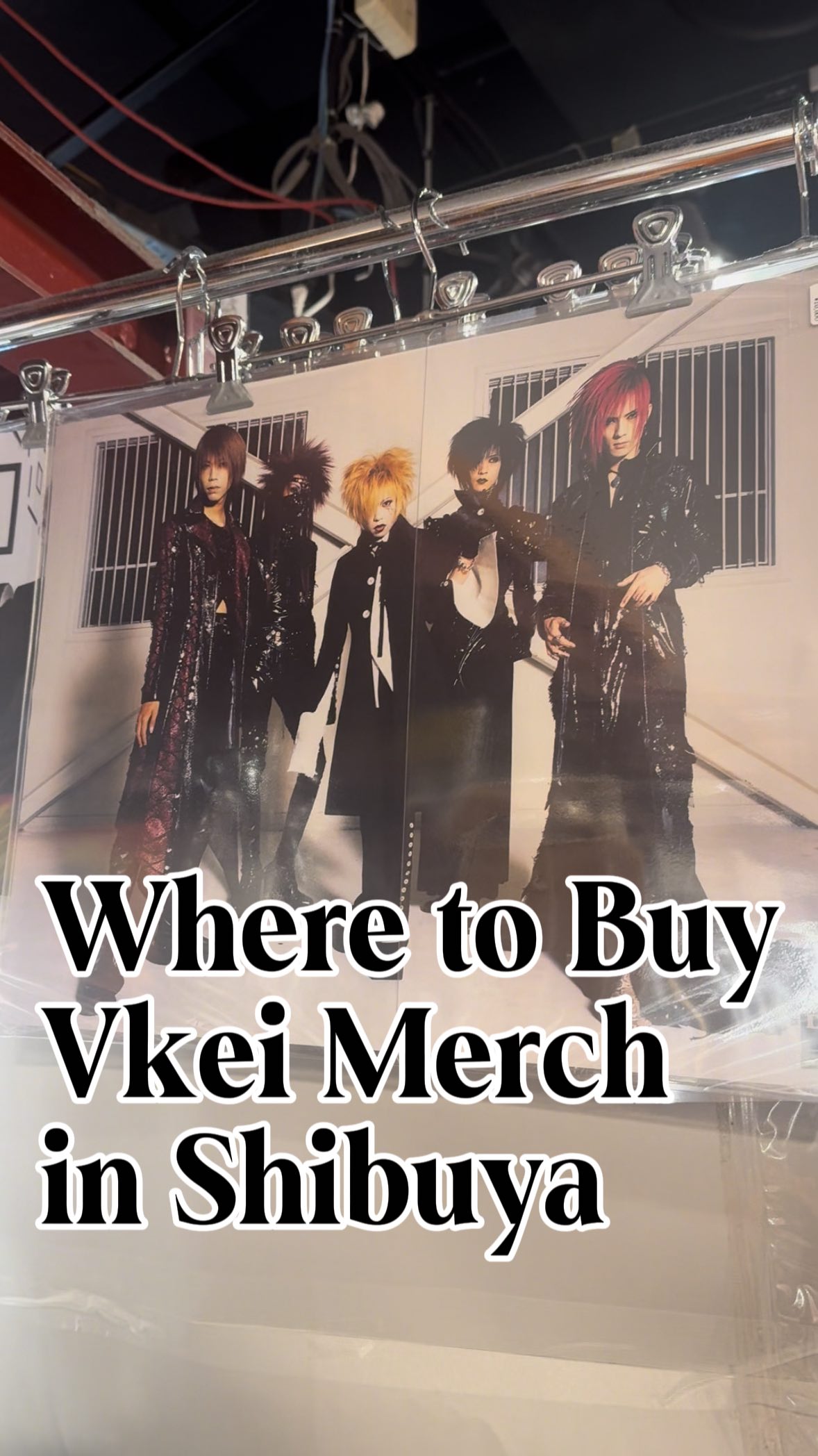 Shibuya's Vkei Stores: Tower Records and Mandarake