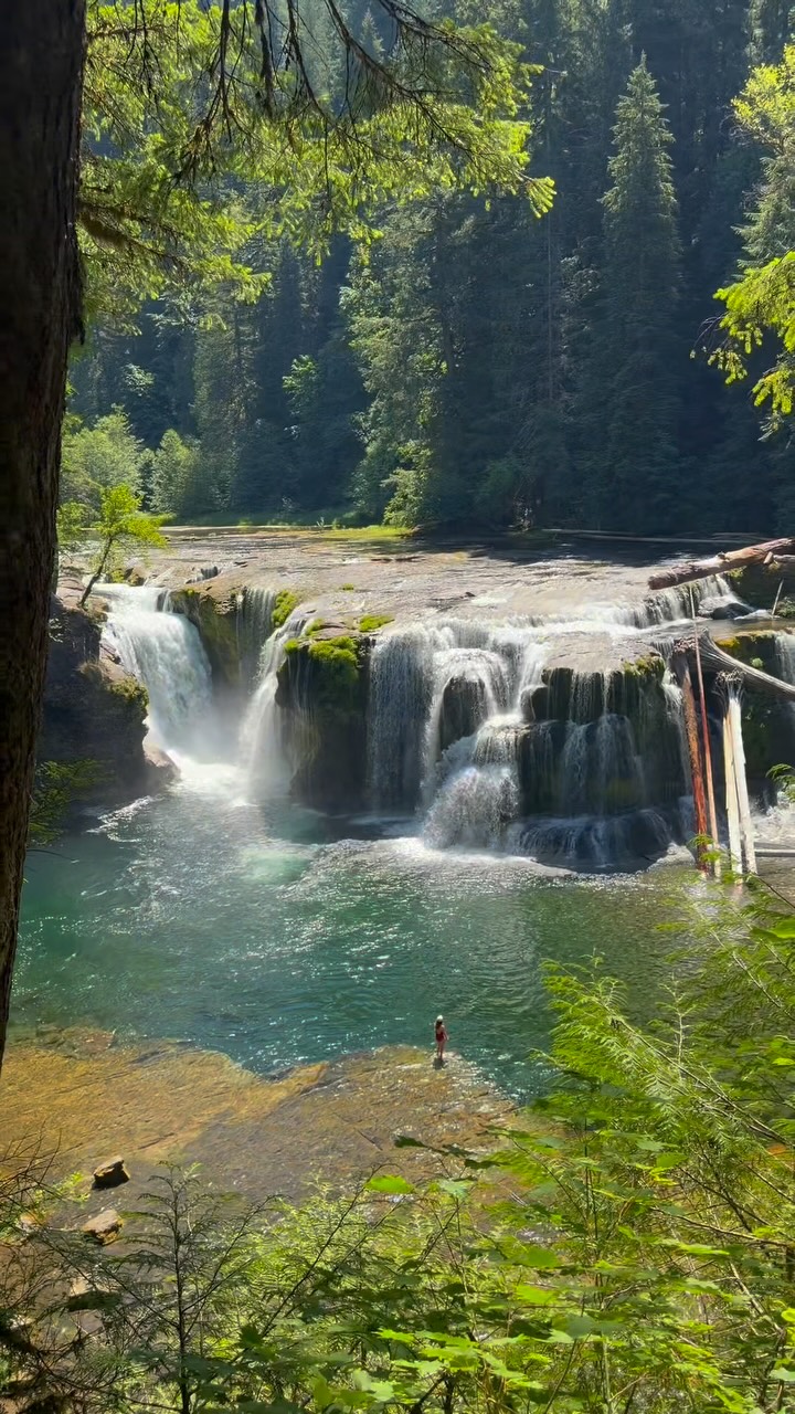 Lower Lewis River Falls: A PNW Swimming Gem