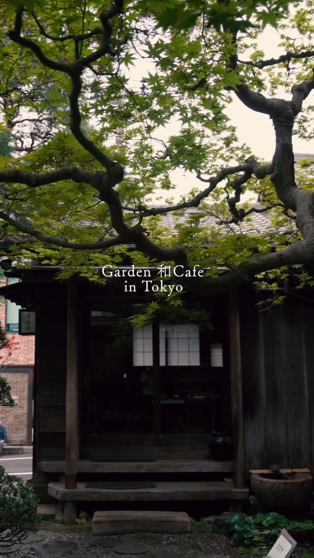 Tokyo Tea Room Offers Tranquil Garden Escape