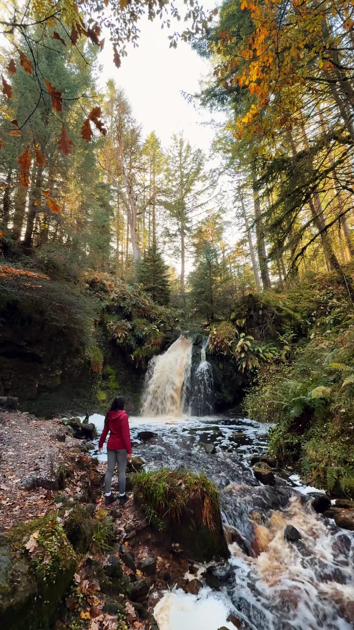 Forest Waterfalls And Autumn Foliage Walks