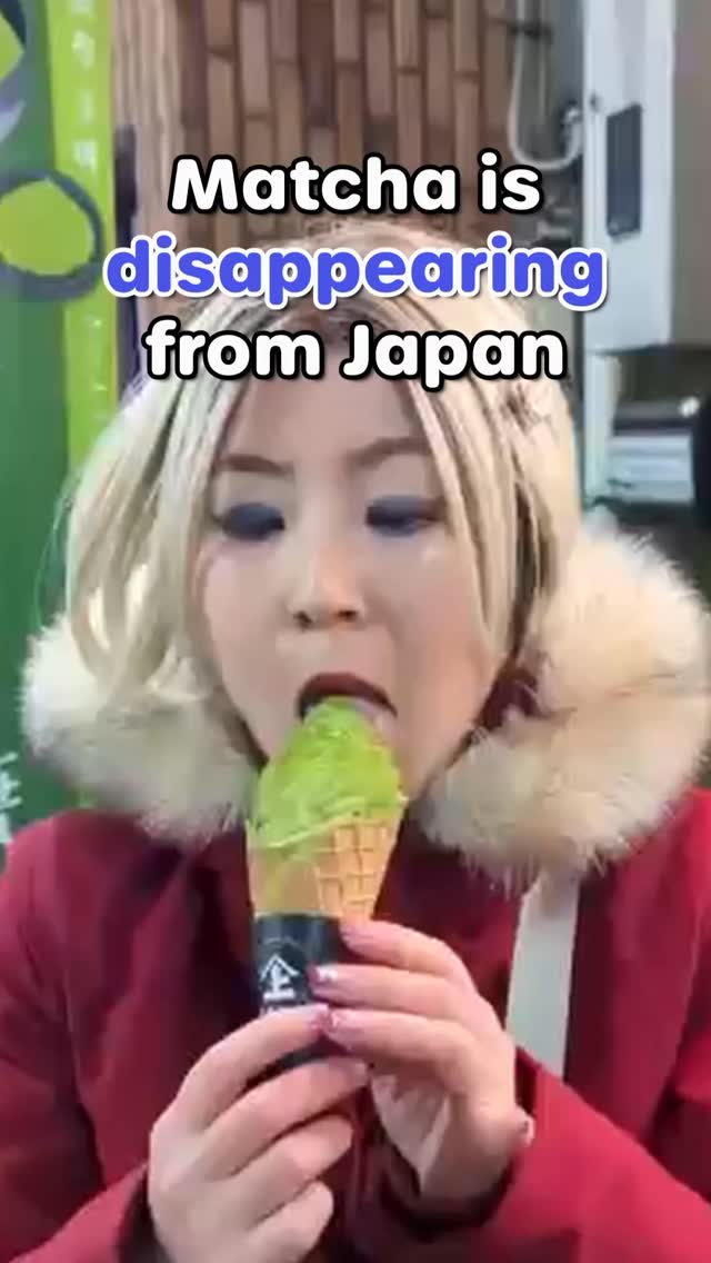 Kagurazaka's Authentic Matcha Cafes and Culture