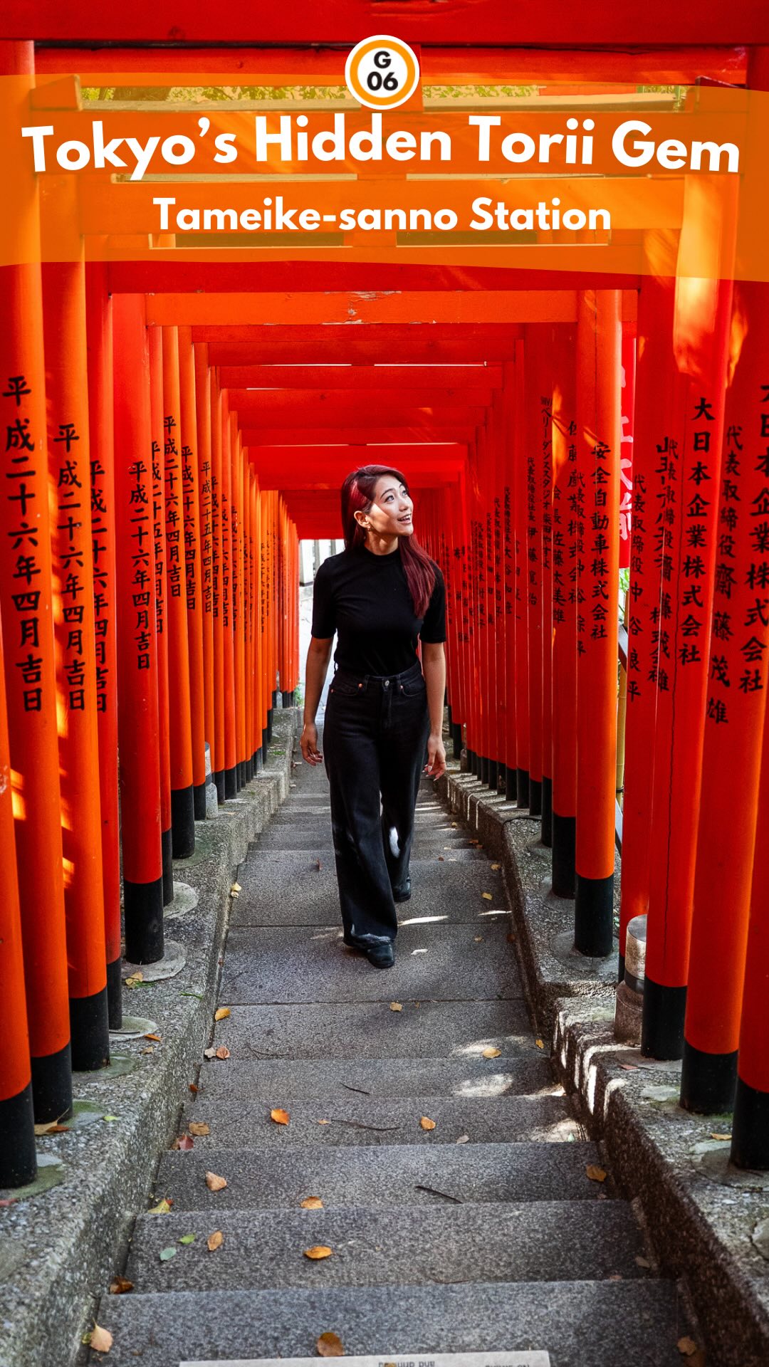 Tokyo's Hie Shrine and Subway Pass Guide