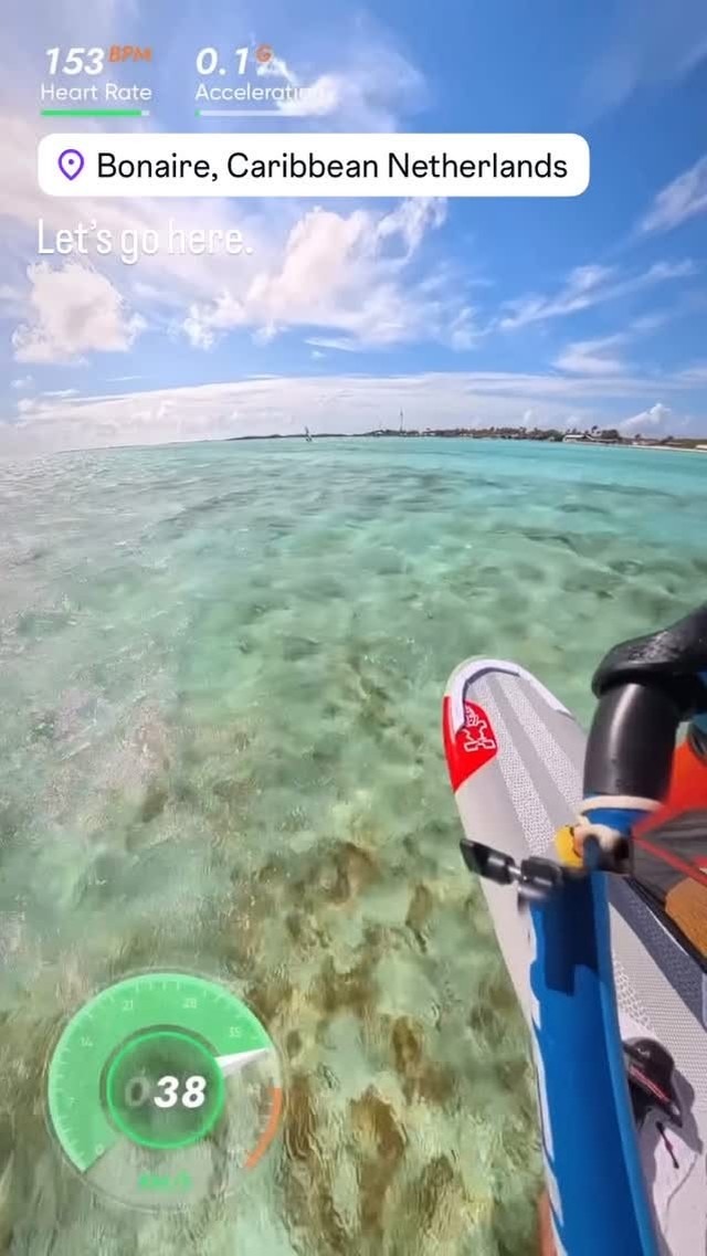 Discover Bonaire's Underwater Wonders