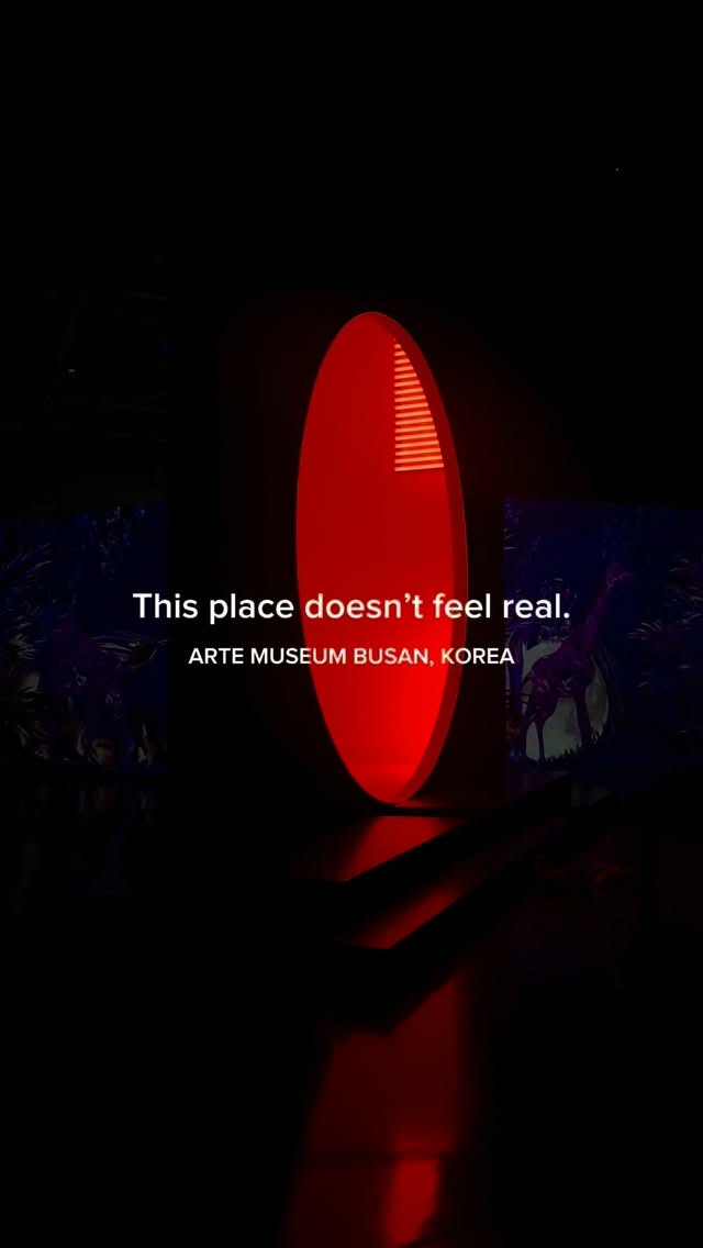 Immersive Digital Art at ARTE MUSEUM Busan