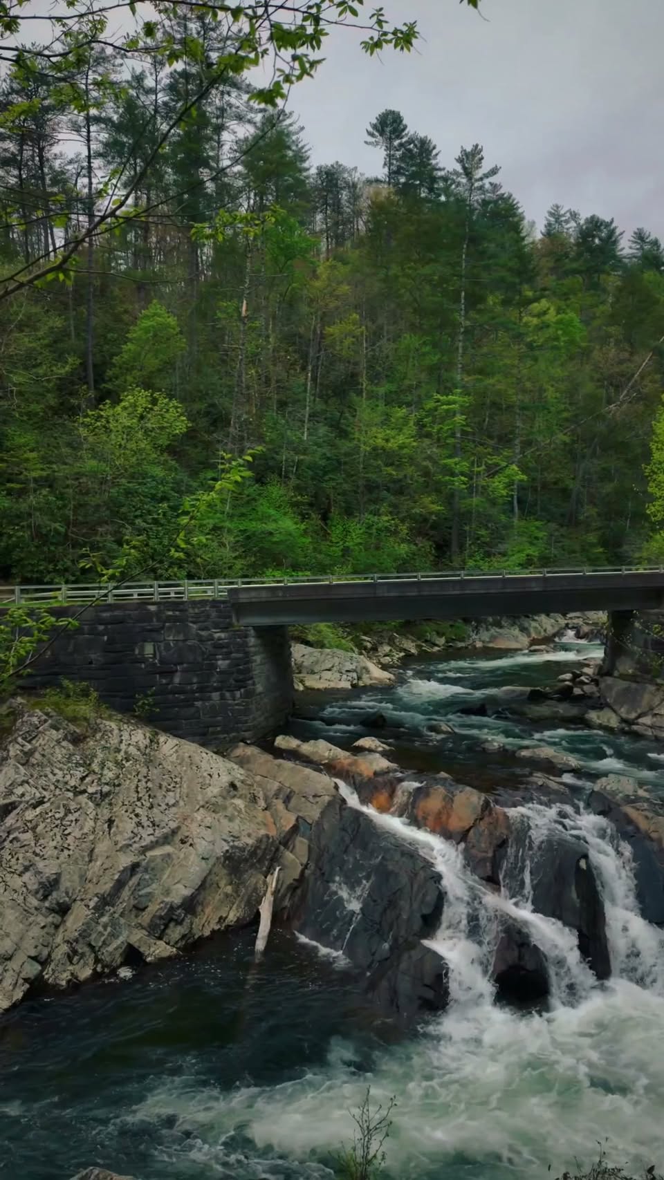 National Park Cascades Shaped By Logging History