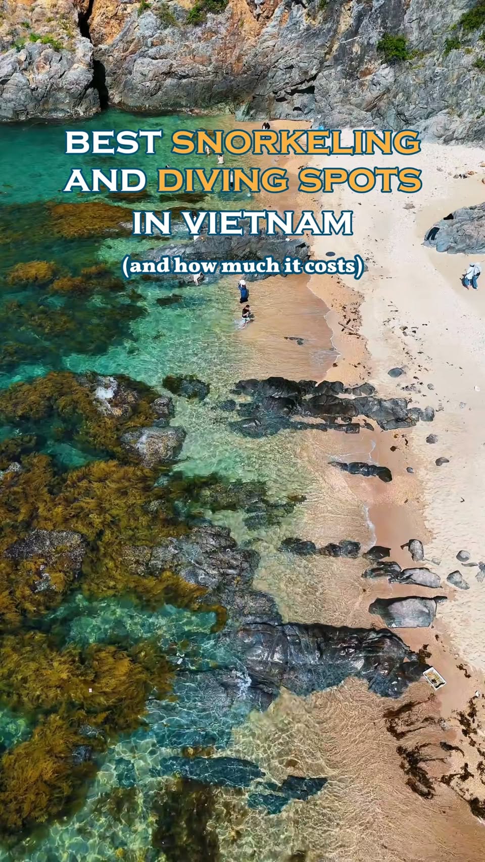 Vietnam's Top Snorkeling and Diving Destinations