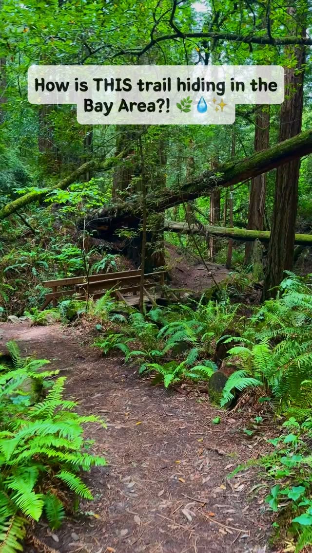 Bay Area Trail Leads to Hidden Waterfalls
