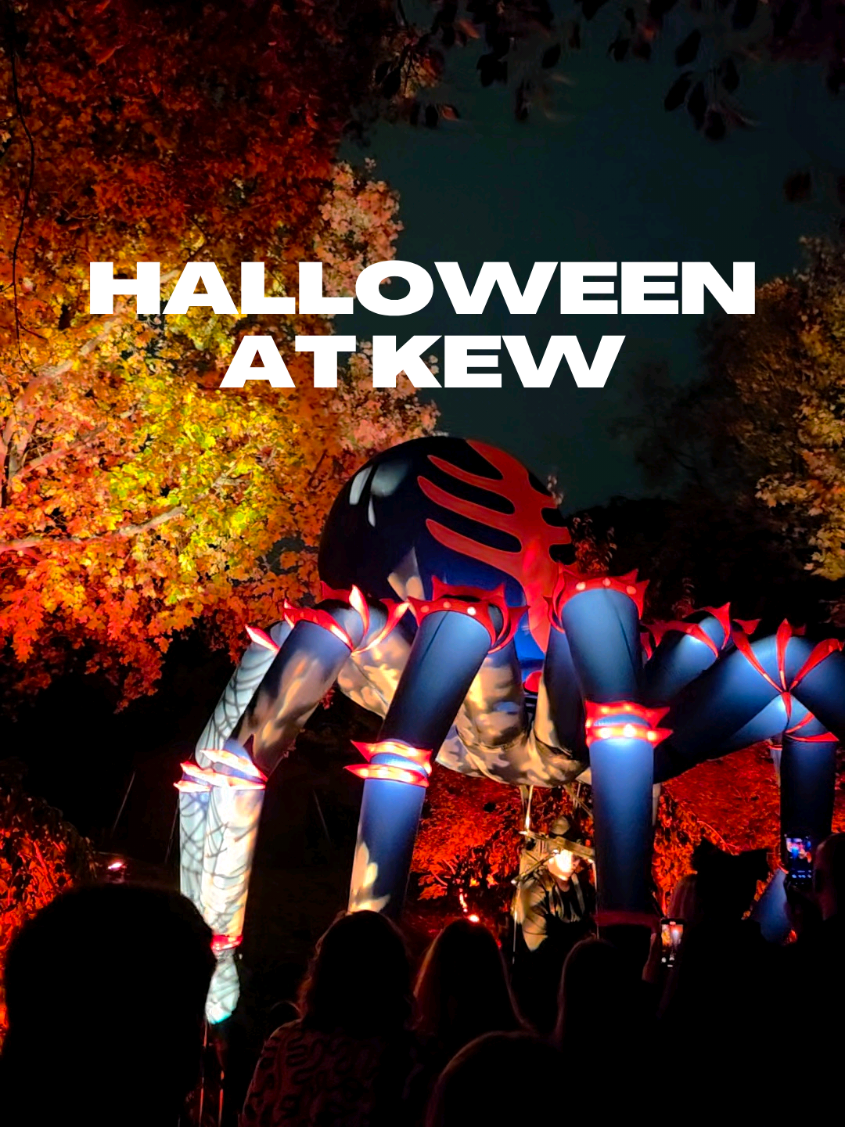 Kew Gardens Halloween Light Trail