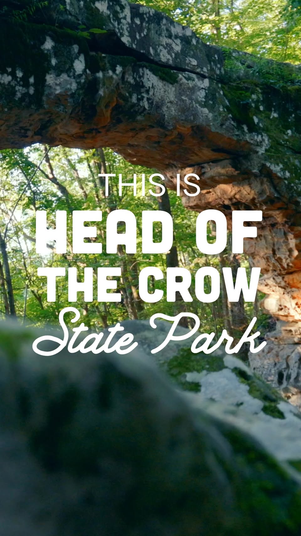7 Attractions in Tennessee