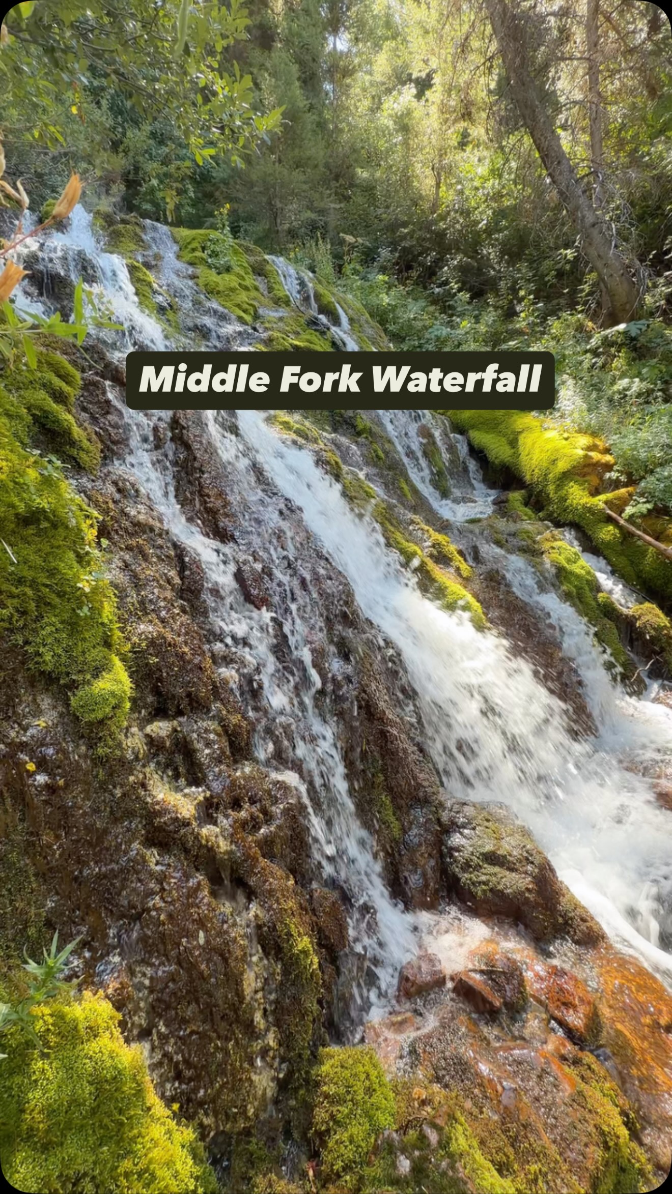 Middle Fork Waterfall Trail In High Creek Canyon