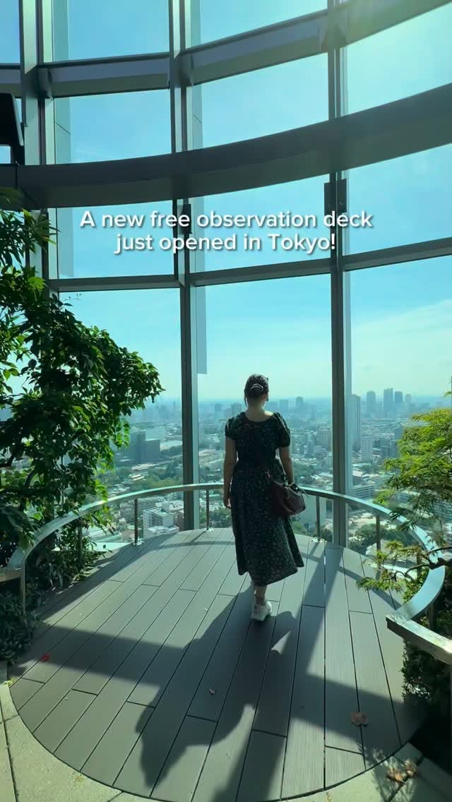 Tokyo's New Observation Decks Offer City Views