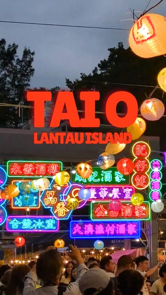 Lantau Island's Tai O Fishing Village Delights