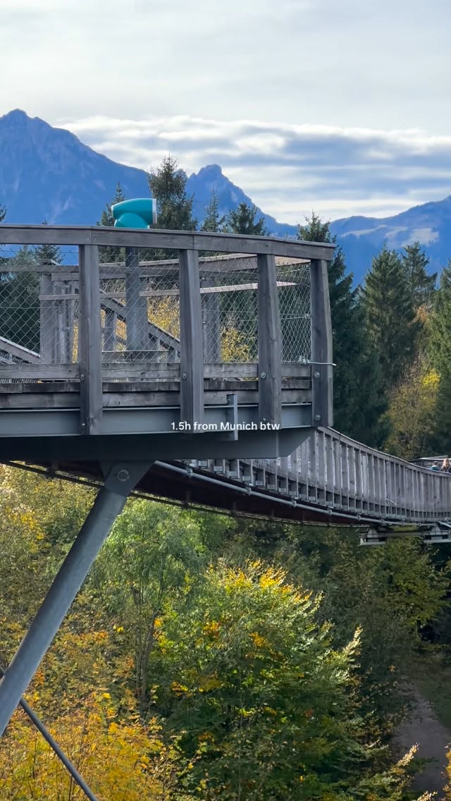 Treetop Walkway Bordering Bavaria and Tyrol