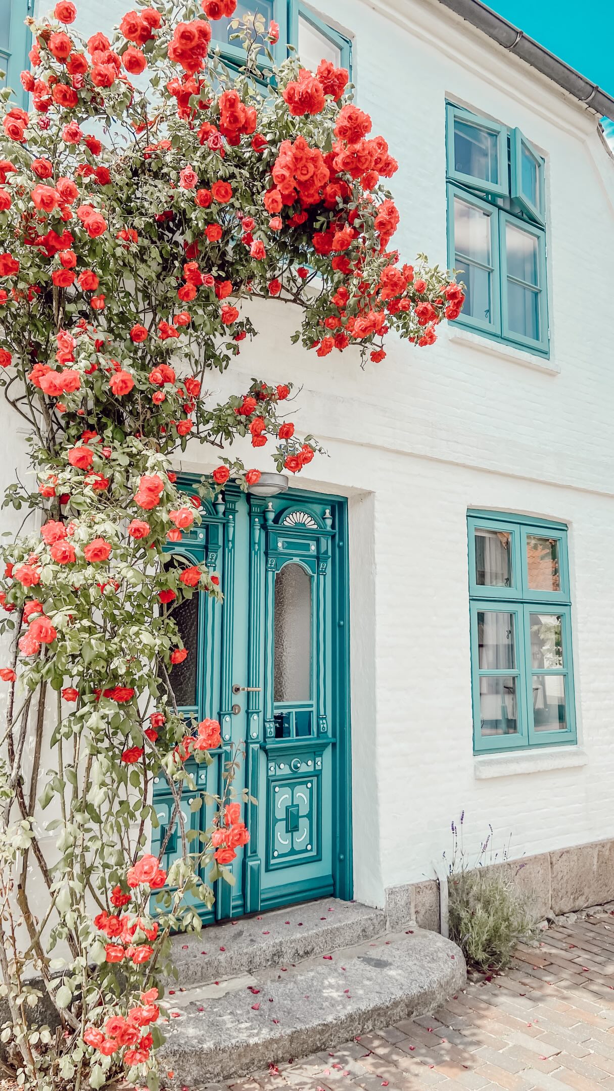 Schleswig-Holstein's Charming Baltic Sea Fishing Villages