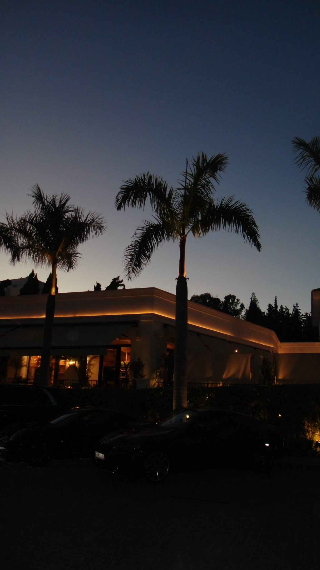Beast Asian Eatery: Marbella's Top Spot