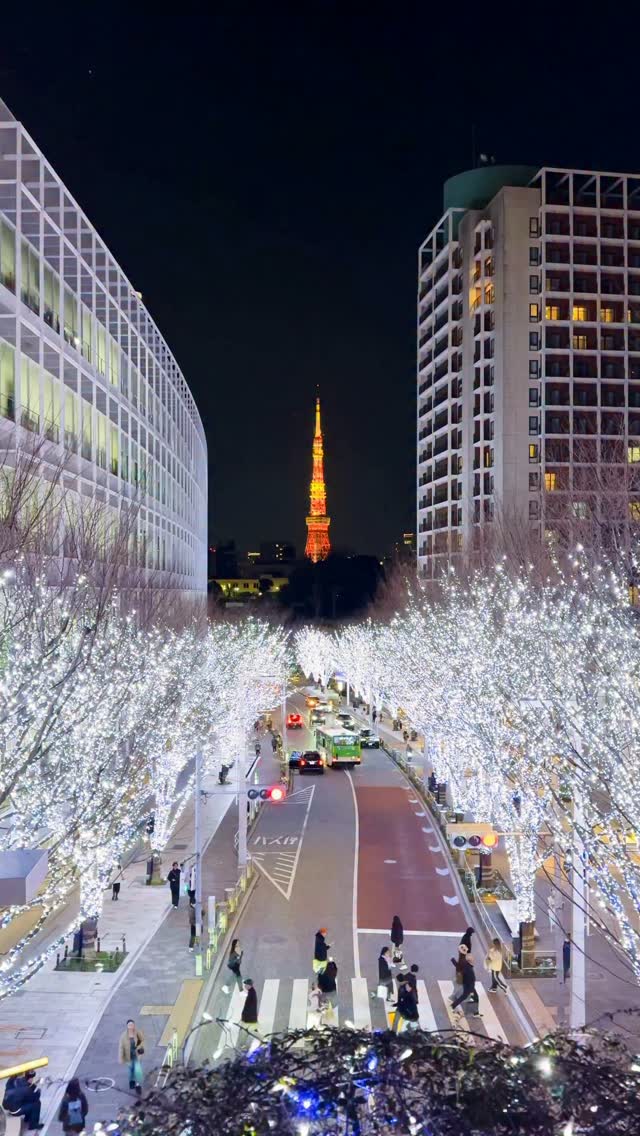 Tokyo Illuminations Light Up The City