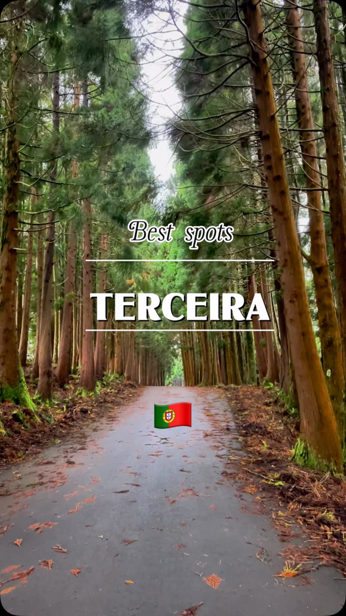 Terceira Island's Natural Wonders And Geothermal Sites