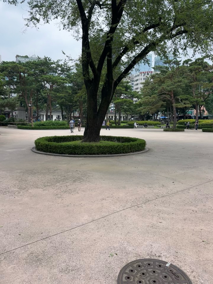 Squid Game Filming Location At Tapgol Park