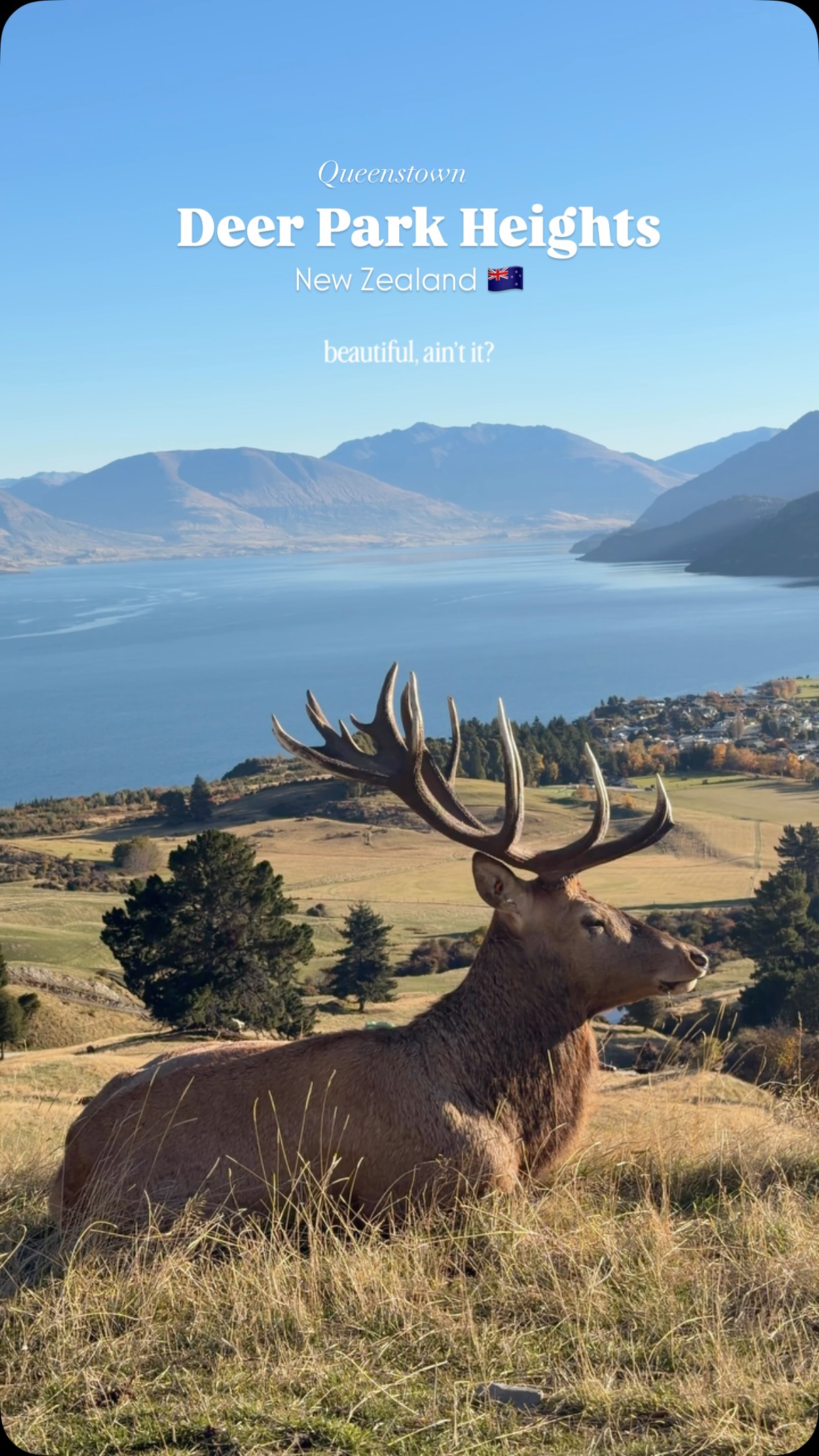 Deer Park Heights Queenstown Self-Drive Safari