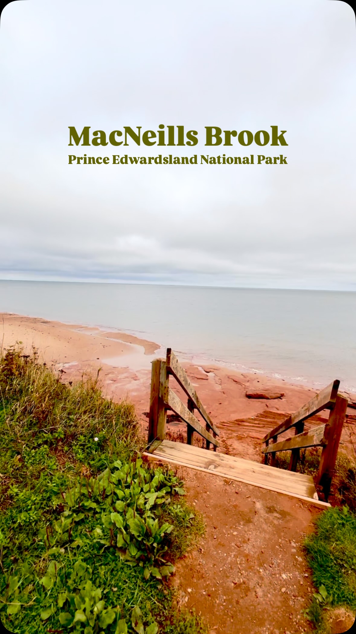 Prince Edward Island National Park's Red Sandstone Cliffs