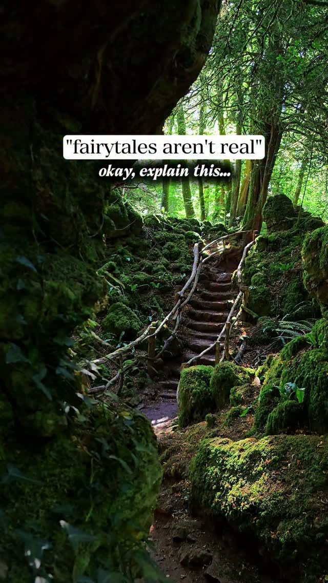 Magical Woodland Feels Like a Fantasy Book