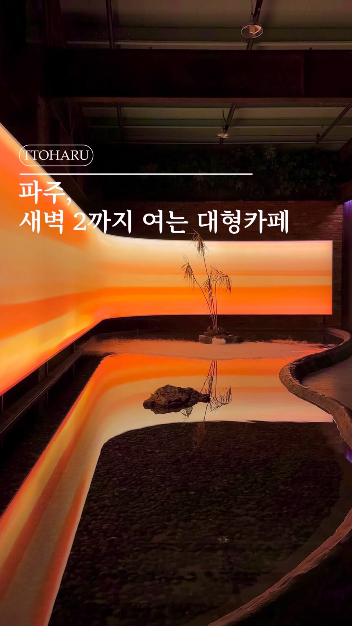 Spacious Paju Cafe Open Late for Night Drives