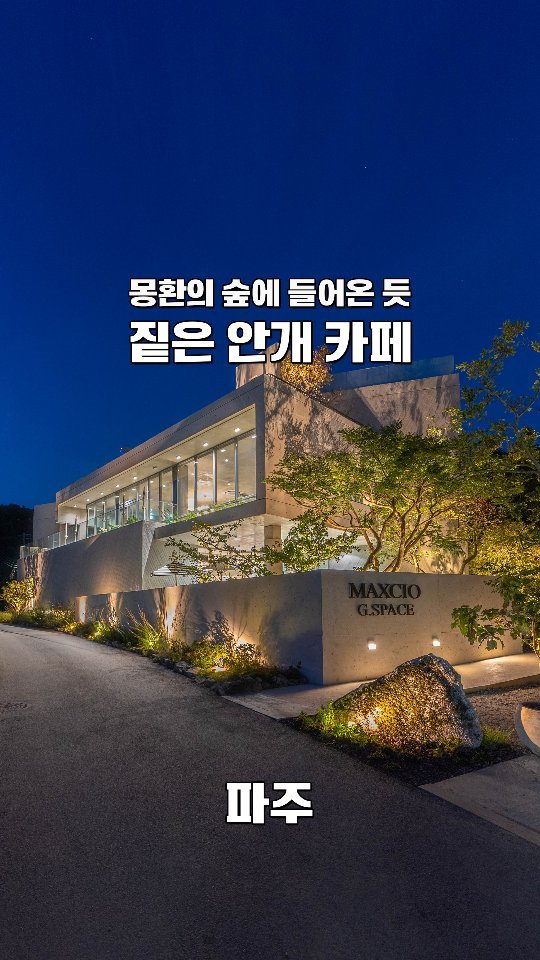 Dreamlike Forest Cafe in Paju