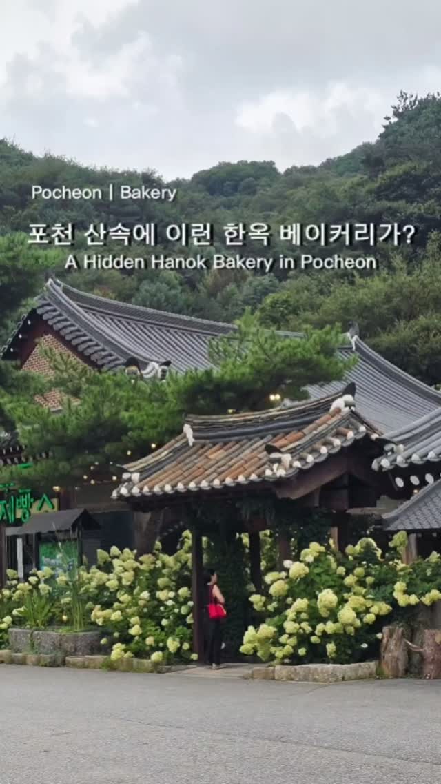 Pocheon's Udumji Offers Bakery, Alpacas, and Nature